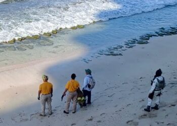 Reabren playas de Mazatlán; confirman que ya no está el cocodrilo en el mar