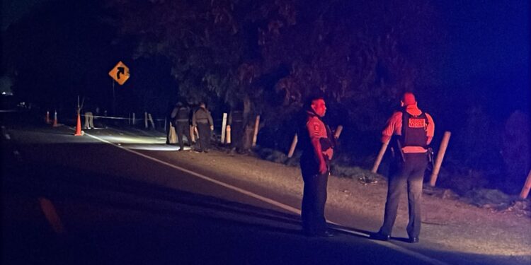 Muere adulto mayor tras ser atropellado en la autopista La Costera