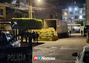 Aseguran tráiler con arsenal oculto entre pacas de alfalfa en Mazatlán