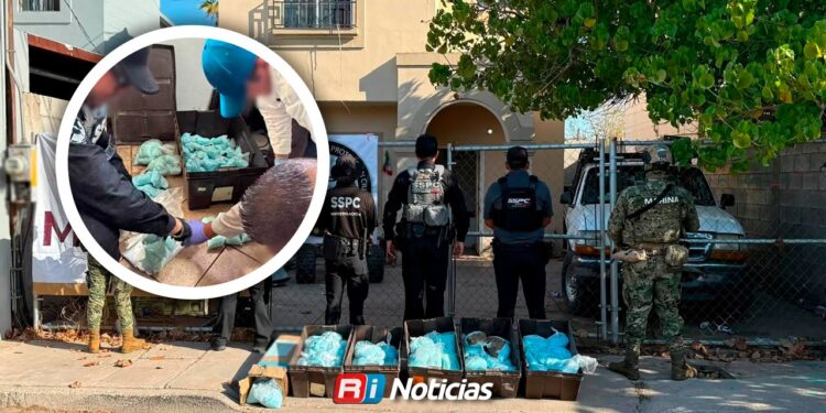 Aseguran 120 kilos de pastillas de fentanilo en Mexicali; Equivalen a más de 4 millones de dosis