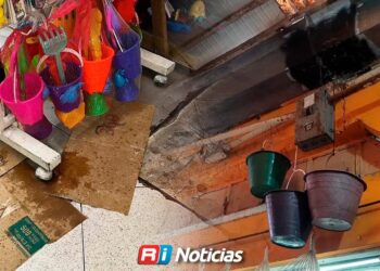 Goteras y filtraciones persisten en el Mercado Pino Suárez; locatarios esperan reparación