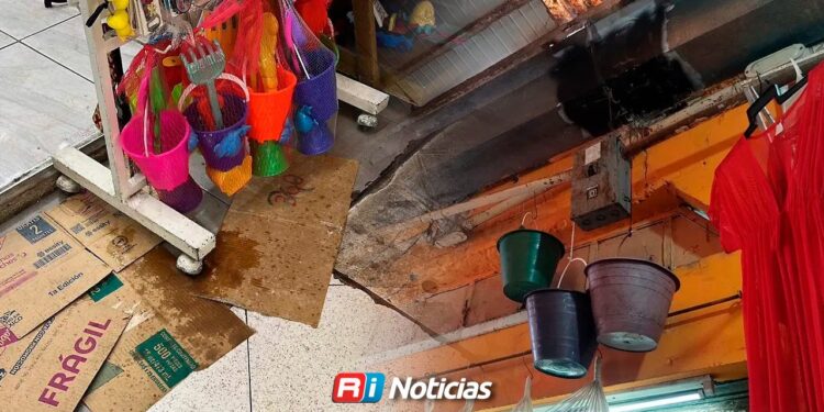 Goteras y filtraciones persisten en el Mercado Pino Suárez; locatarios esperan reparación