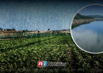 Lluvias mejoran panorama de agua para el campo de Sinaloa; presas avanzan en captaciones