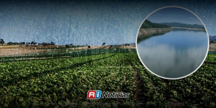 Lluvias mejoran panorama de agua para el campo de Sinaloa; presas avanzan en captaciones