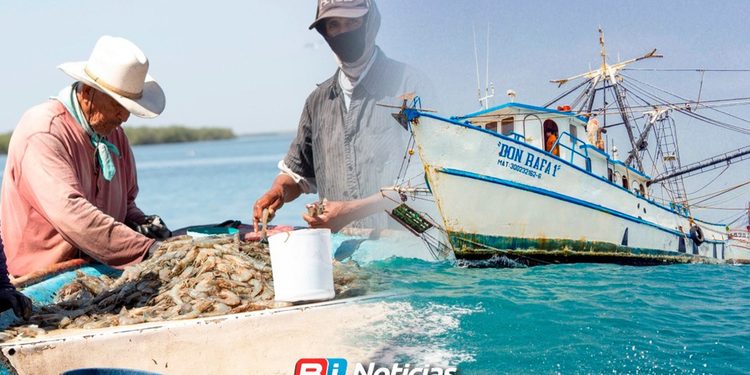 Al borde del colapso: Advierten parálisis del 50 por ciento de la flota pesquera en México