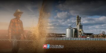 Productores de granos en Sinaloa llegan golpeados financieramente a nueva temporada agrícola
