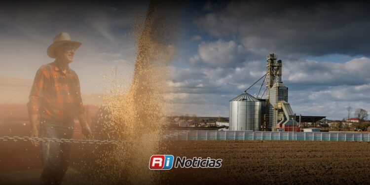 Productores de granos en Sinaloa llegan golpeados financieramente a nueva temporada agrícola