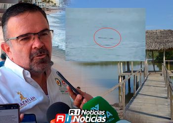 Reporte de cocodrilo en playa no corresponde al del Estero del Yugo: Protección Civil