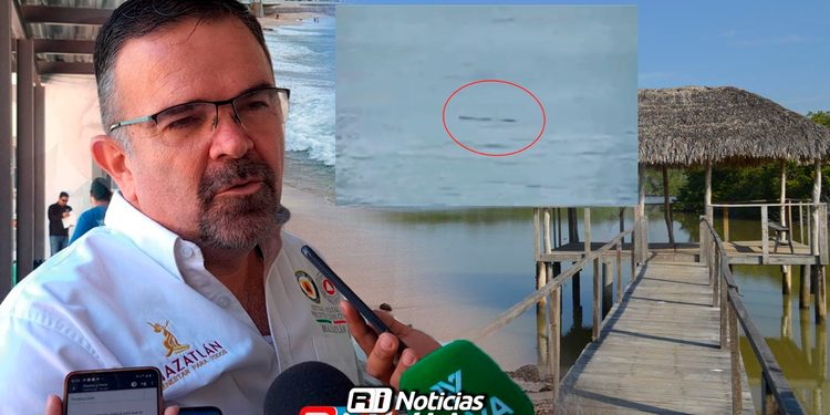 Reporte de cocodrilo en playa no corresponde al del Estero del Yugo: Protección Civil
