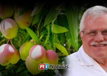 Escuinapa cierra temporada de mango con mejores expectativas y refuerza vigilancia contra robos