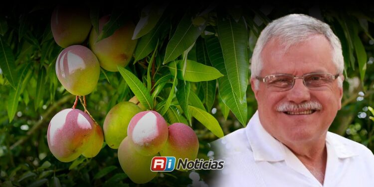 Escuinapa cierra temporada de mango con mejores expectativas y refuerza vigilancia contra robos