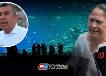 Tesorero de Mazatlán comparecerá por convenio con Drakkar Aquarium
