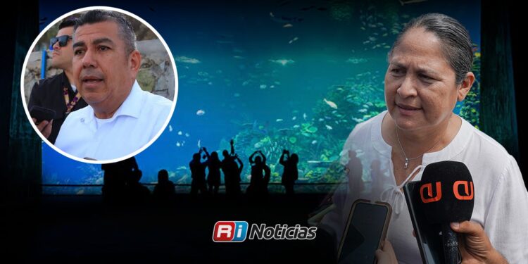 Tesorero de Mazatlán comparecerá por convenio con Drakkar Aquarium