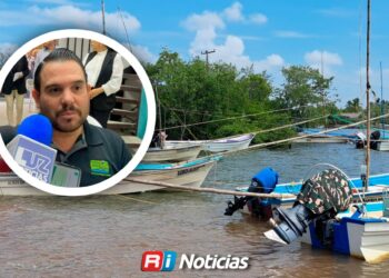 Aún sin fecha para levantar la veda del camarón; definirán temporada tras estudios