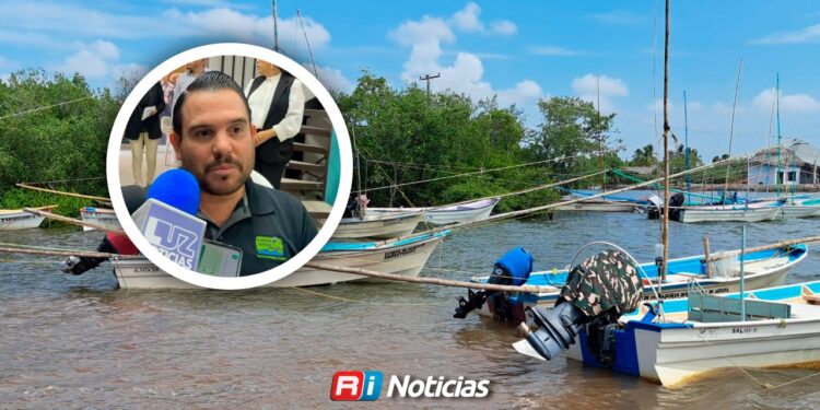 Aún sin fecha para levantar la veda del camarón; definirán temporada tras estudios
