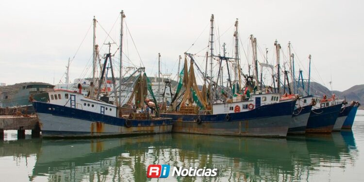 Más de la mitad de la flota camaronera permanece detenida ante altos costos