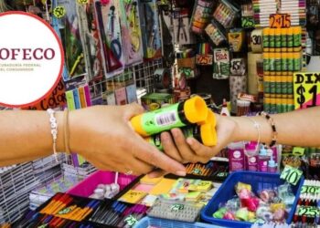 El comercio electrónico: una alternativa para preparar el regreso a clases y ahorrar