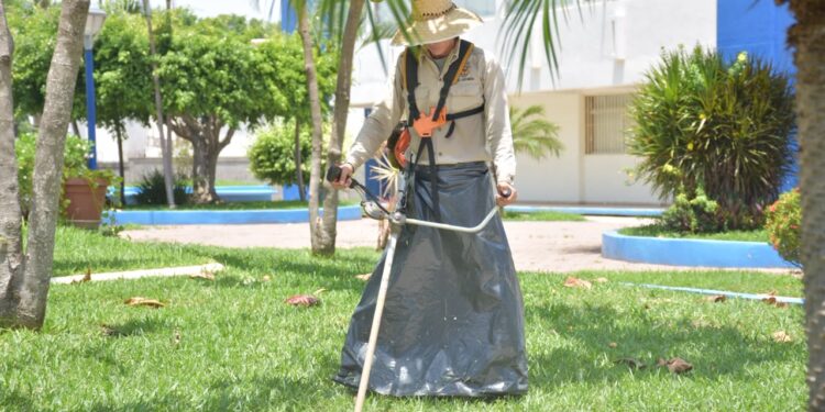 UAS prepara sus planteles para el regreso a clases con mantenimiento integral en la Unidad Regional Sur