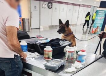 Detectan casi 7 mil pastillas de hidrocodona en equipaje de pasajero en el AICM