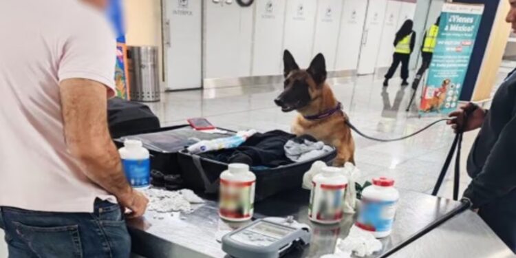 Detectan casi 7 mil pastillas de hidrocodona en equipaje de pasajero en el AICM