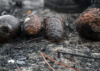 Un incendio registrado en Francia, dejó al descubierto proyectiles y municiones de la Segunda Guerra Mundial