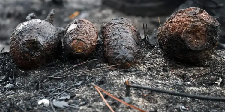 Un incendio registrado en Francia, dejó al descubierto proyectiles y municiones de la Segunda Guerra Mundial