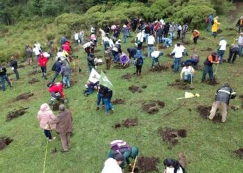 Gobierno de México lanza Jornada Nacional de Reforestación; busca plantar mil 500 millones de árboles para 2030