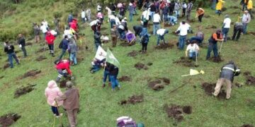 Gobierno de México lanza Jornada Nacional de Reforestación; busca plantar mil 500 millones de árboles para 2030