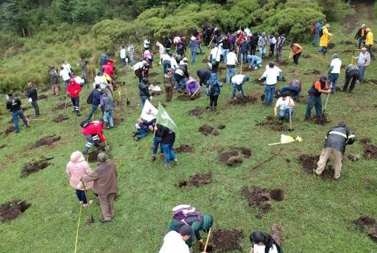 Gobierno de México lanza Jornada Nacional de Reforestación; busca plantar mil 500 millones de árboles para 2030