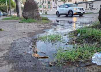 Fuga de agua potable desperdicia cientos de litros en Palos Prietos.