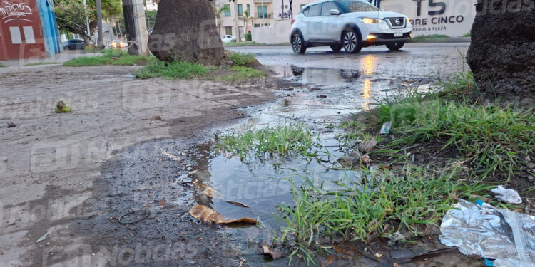 Fuga de agua potable desperdicia cientos de litros en Palos Prietos.