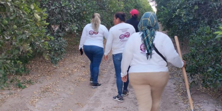 ONU pide a México proteger a las mujeres buscadoras