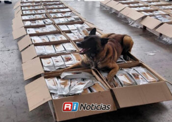Aseguran más de una tonelada de presunta cocaína oculta en cargamento de café en el AICM