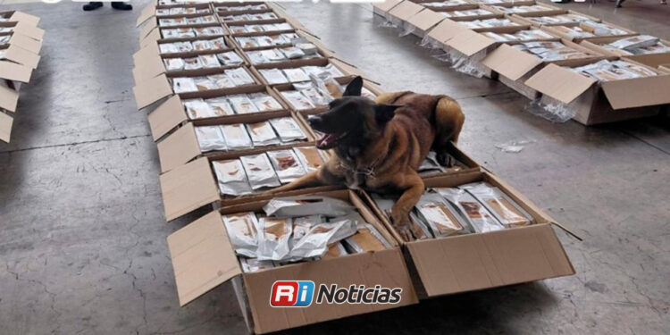 Aseguran más de una tonelada de presunta cocaína oculta en cargamento de café en el AICM