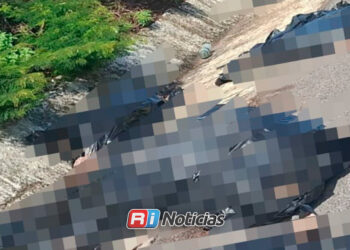 Localizan a dos hombres sin vida sobre la Mazatlán-Tepic