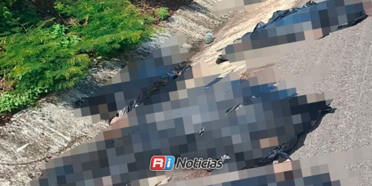 Localizan a dos hombres sin vida sobre la Mazatlán-Tepic