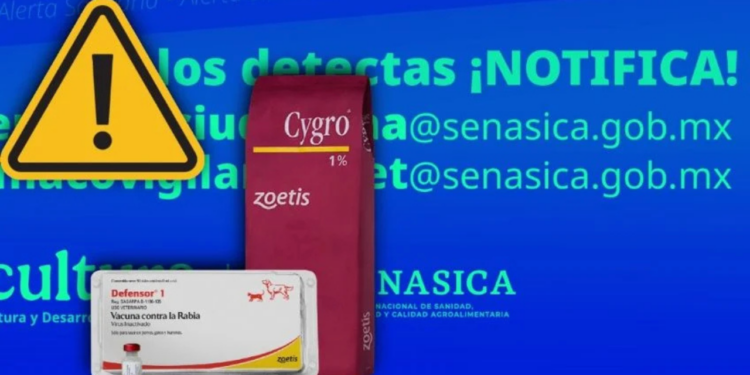 Alertan por vacunas falsas contra la rabia para mascotas; identifican lote de Defensor y cinco de Cygro