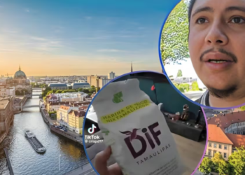 ¿Despensa desviada? Bolsa de Maseca con referencias al DIF Tamaulipas aparece en Alemania