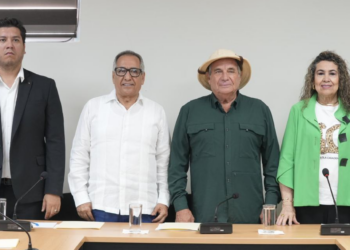 Comisión de Salud aprueba dictamen que brinda más atención a diabetes, obesidad y salud bucal