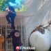 Evacuan 930 alumnos de una secundaria en Costa Rica tras fuga de gas