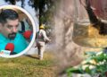 611 casos de Dengue en Sinaloa; Salud llama a limpiar los hogares