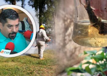 611 casos de Dengue en Sinaloa; Salud llama a limpiar los hogares
