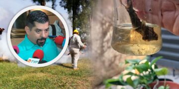 611 casos de Dengue en Sinaloa; Salud llama a limpiar los hogares