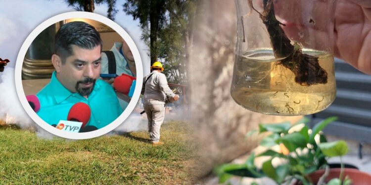 611 casos de Dengue en Sinaloa; Salud llama a limpiar los hogares