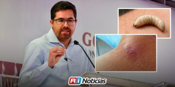 No hay más casos sospechosos de gusano barrenador en humanos: González Galindo