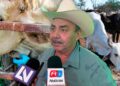 Gusano barrenador ya suma hasta 50 casos en Mazatlán; ganaderos prevén años para controlarlo
