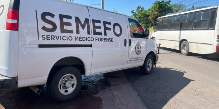Mujer es asesinada con arma blanca en su domicilio al sur de Culiacán