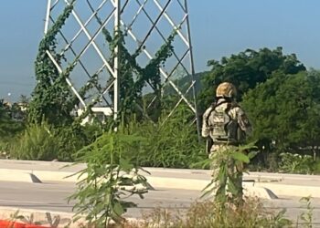 Localizan a joven sin vida entre torres de la CFE en Culiacán