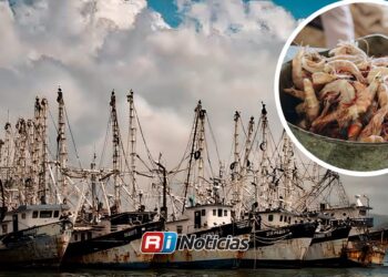 Hasta 60% de la flota camaronera podría quedarse en puerto esta temporada