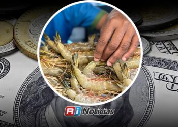 Dólar por debajo de 17 pesos también pega al precio del camarón